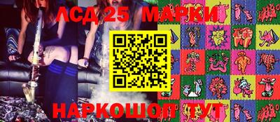 spice Новозыбков