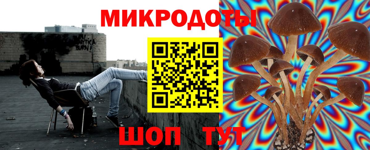 Тула  наркотики  Галлюциногенные грибы Psilocybe  Вход с VPN  Галлюциногенные грибы прущие грибы 